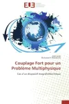 Couplage Fort pour un Problème Multiphysique vignette
