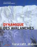 Dynamique des avalanches vignette
